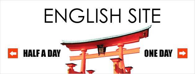 ENGLISH SITE